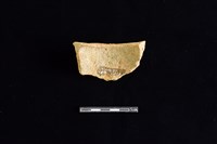 陶片藏品圖，第2張